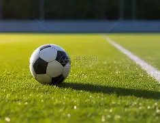 双色球锦囊,揭秘,期独家,河南体彩,河南体彩网,河南体彩网官网,体育彩票,体彩大乐透,竞彩足球,体彩公益