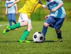 双色球第,揭秘绝杀秘,精准分析,河南体彩,河南体彩网,河南体彩网官网,体育彩票,体彩大乐透,竞彩足球,体彩公益