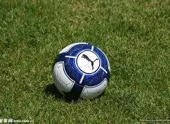 独门秘籍,福彩,期走势图解,河南体彩,河南体彩网,河南体彩网官网,体育彩票,体彩大乐透,竞彩足球,体彩公益