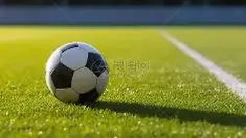 【2025蛇年彩运揭秘】双色球137期独家精准预测：三蓝必中秘籍，06、13、14助力大奖狂欢！