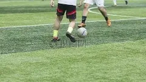 【幸运秘籍】福彩3D2026年第020期神算独家三胆攻略，中奖稳如泰山！