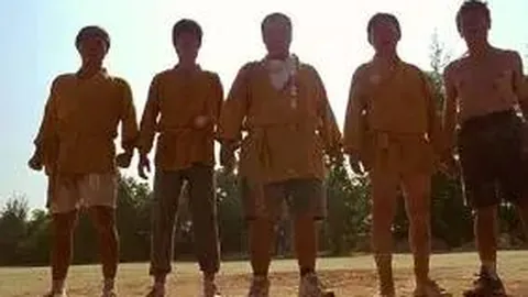 【双色球2026015期】揭秘“杀破狼”精选红球攻略，速来一探究竟！